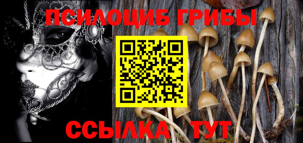 Галлюциногенные грибы GOLDEN TEACHER  Псилоцибиновые грибы Psilocybine cubensis  Лангепас  Вход с VPN 