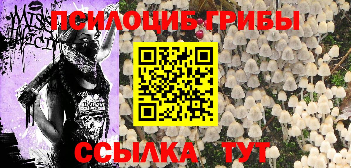 Псилоцибиновые грибы Cubensis Лангепас